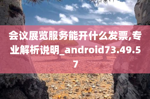 会议展览服务能开什么发票,专业解析说明_android73.49.57