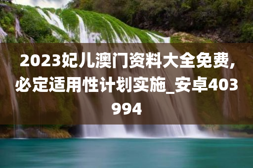 2023妃儿澳门资料大全免费,必定适用性计划实施_安卓403994