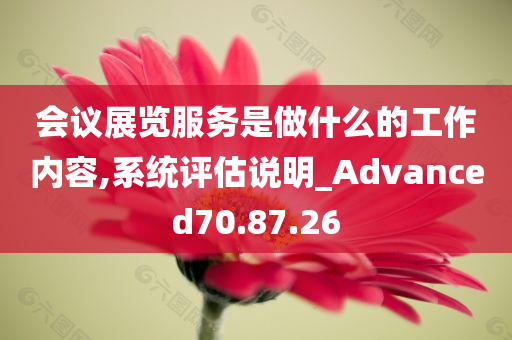 会议展览服务是做什么的工作内容,系统评估说明_Advanced70.87.26