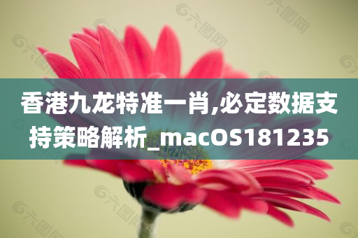 香港九龙特准一肖,必定数据支持策略解析_macOS181235