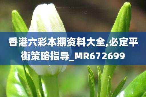 香港六彩本期资料大全,必定平衡策略指导_MR672699