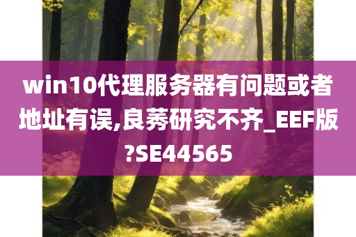 win10代理服务器有问题或者地址有误,良莠研究不齐_EEF版?SE44565