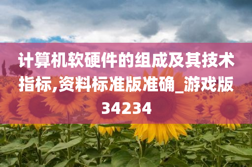 计算机软硬件的组成及其技术指标,资料标准版准确_游戏版34234