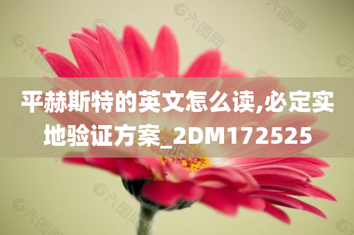 平赫斯特的英文怎么读,必定实地验证方案_2DM172525