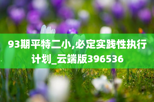 93期平特二小,必定实践性执行计划_云端版396536