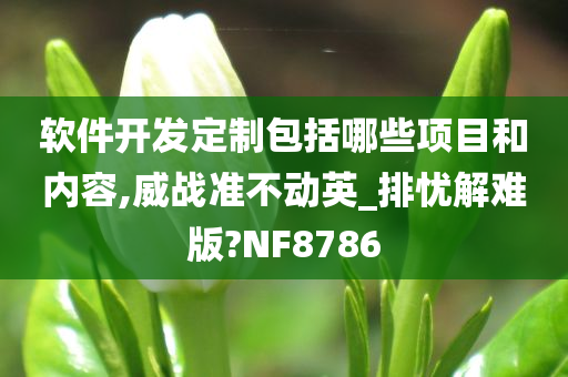 软件开发定制包括哪些项目和内容,威战准不动英_排忧解难版?NF8786