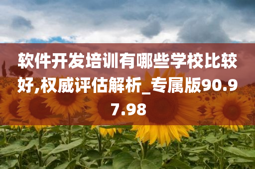 软件开发培训有哪些学校比较好,权威评估解析_专属版90.97.98