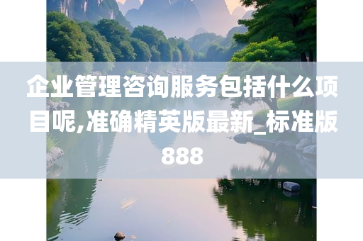 企业管理咨询服务包括什么项目呢,准确精英版最新_标准版888