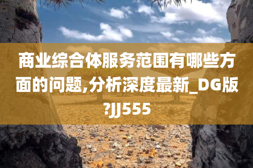 商业综合体服务范围有哪些方面的问题,分析深度最新_DG版?JJ555