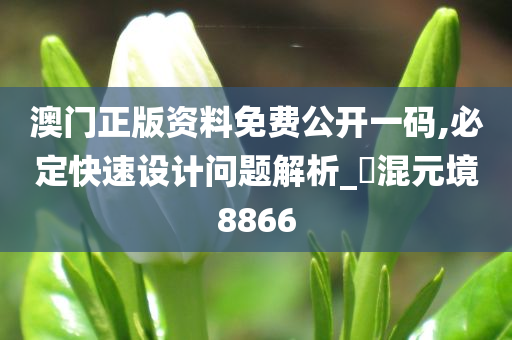 澳门正版资料免费公开一码,必定快速设计问题解析_‌混元境8866