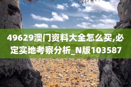 49629澳门资料大全怎么买,必定实地考察分析_N版103587