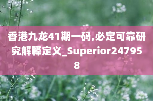 香港九龙41期一码,必定可靠研究解释定义_Superior247958