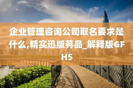 企业管理咨询公司取名要求是什么,精实迅版莠品_解释版GFH5