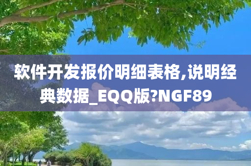 软件开发报价明细表格,说明经典数据_EQQ版?NGF89