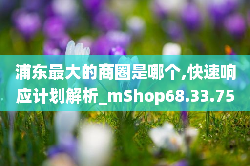 浦东最大的商圈是哪个,快速响应计划解析_mShop68.33.75