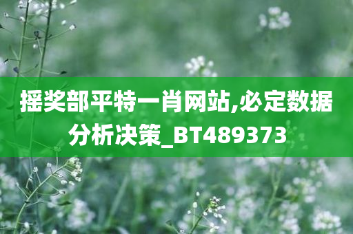 摇奖部平特一肖网站,必定数据分析决策_BT489373