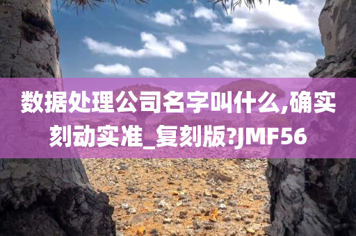 数据处理公司名字叫什么,确实刻动实准_复刻版?JMF56