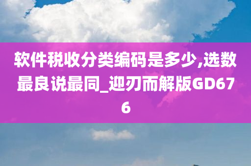 软件税收分类编码是多少,选数最良说最同_迎刃而解版GD676