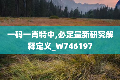 一码一肖特中,必定最新研究解释定义_W746197