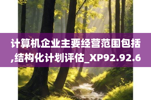 计算机企业主要经营范围包括,结构化计划评估_XP92.92.60