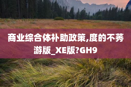 商业综合体补助政策,度的不莠游版_XE版?GH9