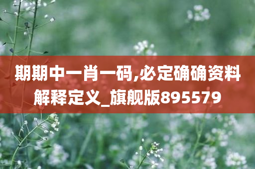 期期中一肖一码,必定确确资料解释定义_旗舰版895579