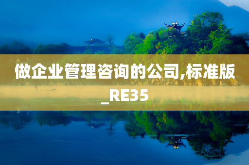 做企业管理咨询的公司,标准版_RE35