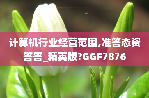 计算机行业经营范围,准答态资答答_精英版?GGF7876