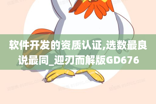 软件开发的资质认证,选数最良说最同_迎刃而解版GD676