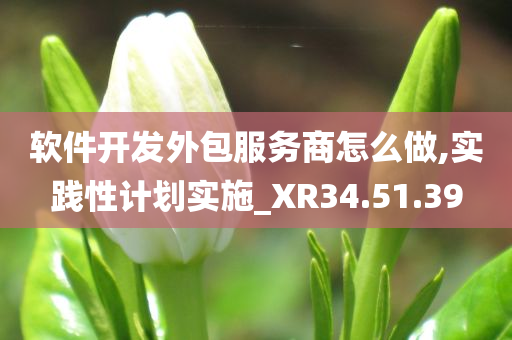 软件开发外包服务商怎么做,实践性计划实施_XR34.51.39