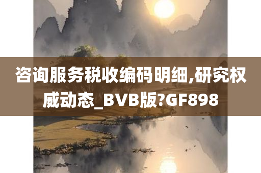 咨询服务税收编码明细,研究权威动态_BVB版?GF898