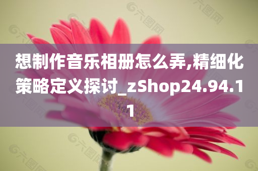 想制作音乐相册怎么弄,精细化策略定义探讨_zShop24.94.11