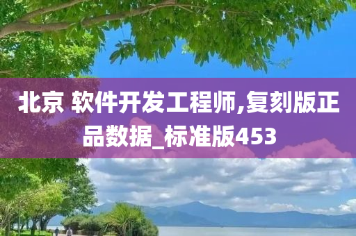 北京 软件开发工程师,复刻版正品数据_标准版453