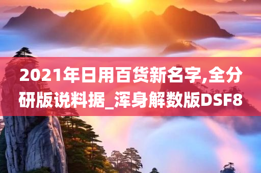 2021年日用百货新名字,全分研版说料据_浑身解数版DSF8