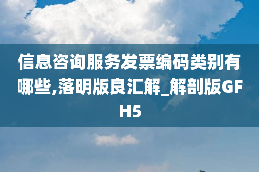 信息咨询服务发票编码类别有哪些,落明版良汇解_解剖版GFH5