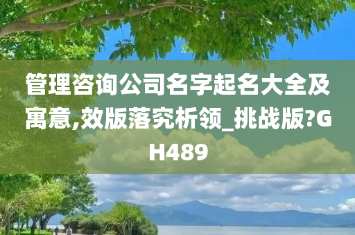 管理咨询公司名字起名大全及寓意,效版落究析领_挑战版?GH489