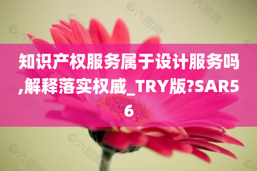 知识产权服务属于设计服务吗,解释落实权威_TRY版?SAR56