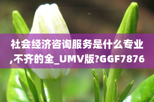 社会经济咨询服务是什么专业,不齐的全_UMV版?GGF7876