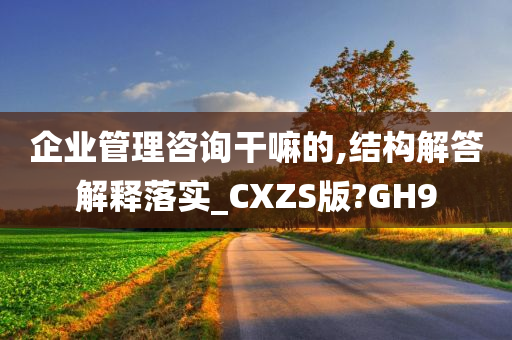 企业管理咨询干嘛的,结构解答解释落实_CXZS版?GH9