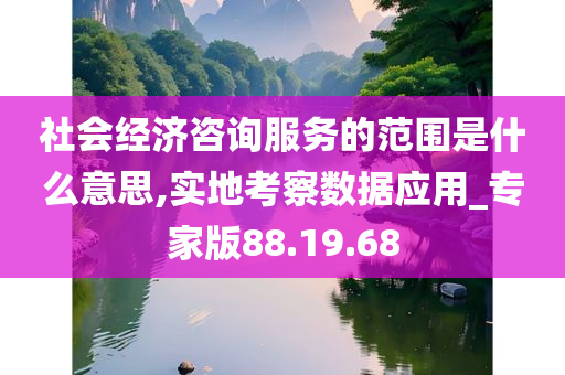 社会经济咨询服务的范围是什么意思,实地考察数据应用_专家版88.19.68