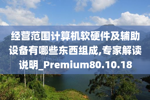 经营范围计算机软硬件及辅助设备有哪些东西组成,专家解读说明_Premium80.10.18