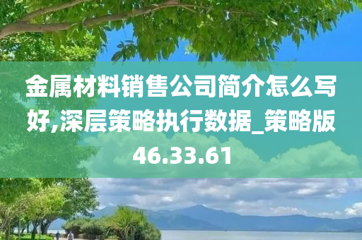 金属材料销售公司简介怎么写好,深层策略执行数据_策略版46.33.61