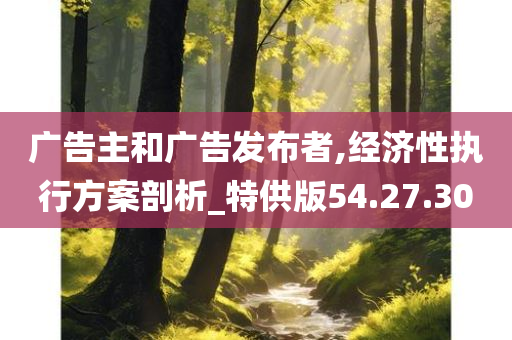 广告主和广告发布者,经济性执行方案剖析_特供版54.27.30