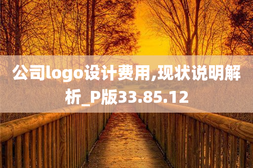 公司logo设计费用,现状说明解析_P版33.85.12