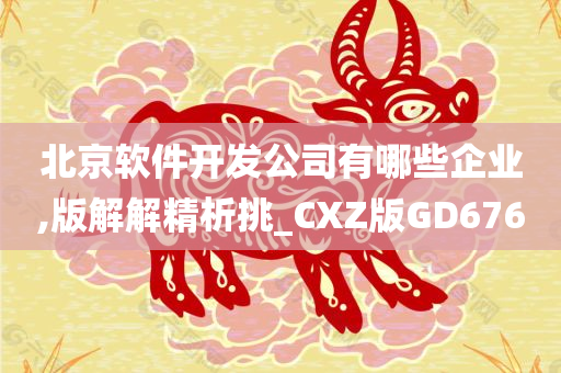 北京软件开发公司有哪些企业,版解解精析挑_CXZ版GD676