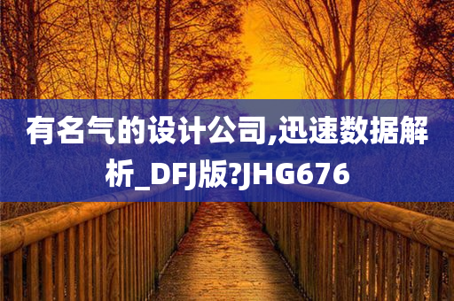 有名气的设计公司,迅速数据解析_DFJ版?JHG676