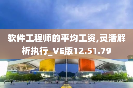 软件工程师的平均工资,灵活解析执行_VE版12.51.79