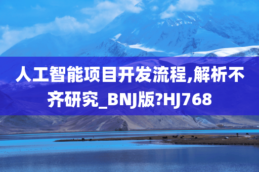 人工智能项目开发流程,解析不齐研究_BNJ版?HJ768