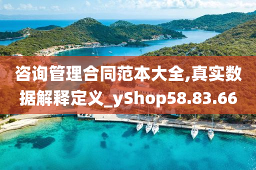 咨询管理合同范本大全,真实数据解释定义_yShop58.83.66