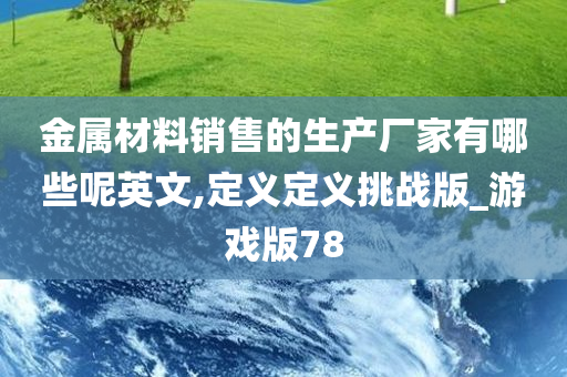 金属材料销售的生产厂家有哪些呢英文,定义定义挑战版_游戏版78